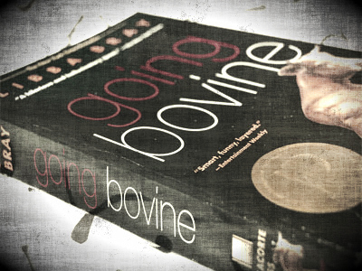 GoingBovine2